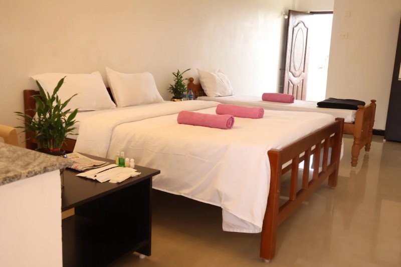 Deluxe Suite Room Large